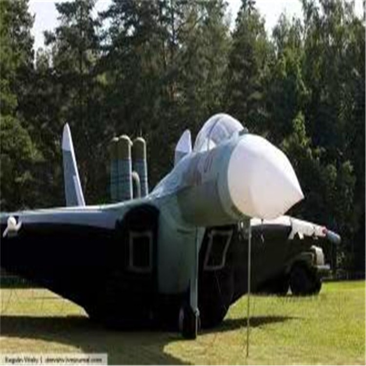 苍梧充气模型飞机制造商家
